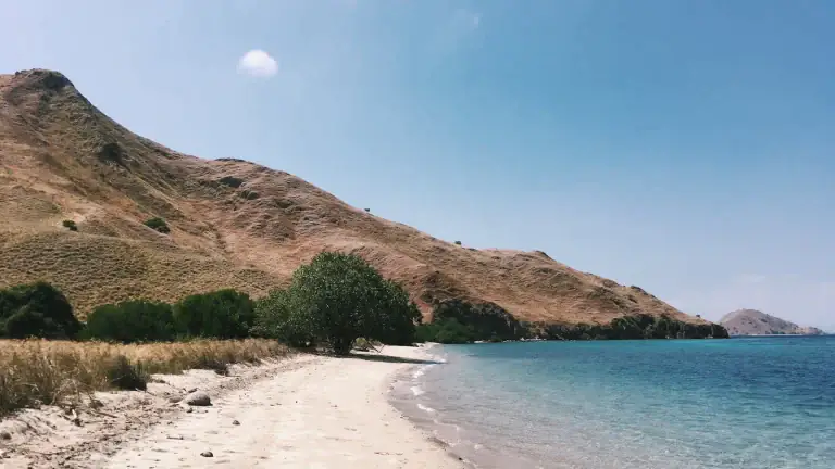 Shoreline and hills at Gili Lawa Darat, Flores