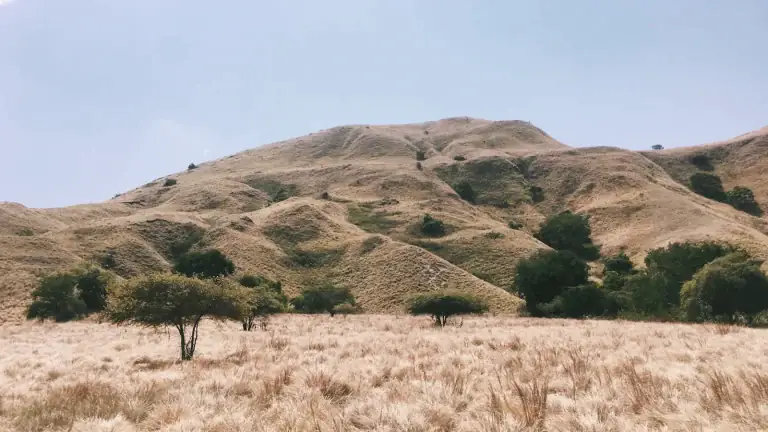 View of the brown grass hills at Gili Lawa Darat, Flores