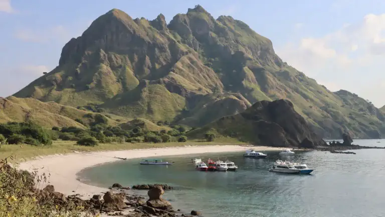 Tour boats in the water near a beach and hills in the Komodo National Park area