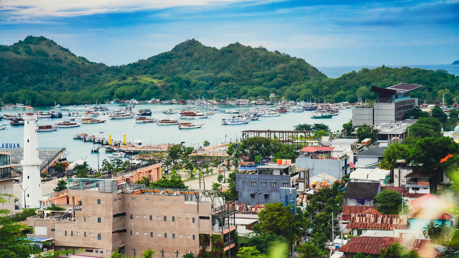 Labuan Bajo harbour seen from a hillside above the town, with tour boats moored and green hills behind, tempat operator boat trip beroperasi