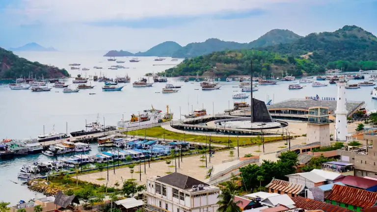 Labuan Bajo port seen from a hillside above the town, with boats lined along the pier