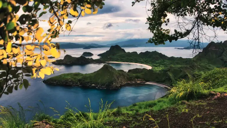Sweep of green-gold grass hills on Padar Island with a bay visible in the distance