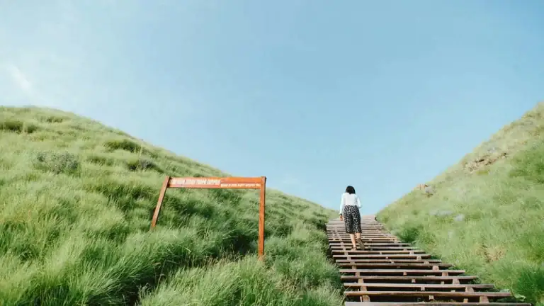Hiker climbing a wooden staircase trail up the grassy savanna hillside on Padar Island